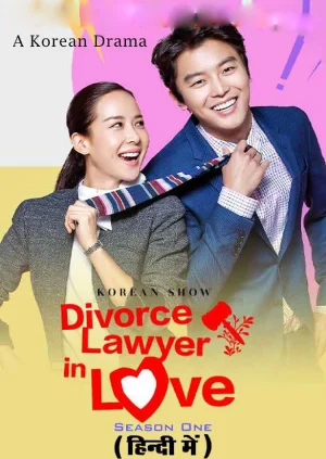 Divorce Lawyer in Love