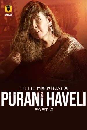 Purani-Haveli-2